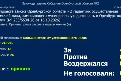 Мироненко: Заксобрание поддержало гарантии для оренбуржцев на муниципальных должностях